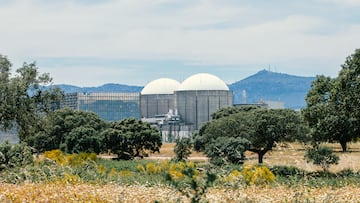 Facilities at the industrial complex surrounded by holm oaks. May 2021.