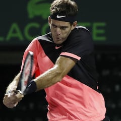 Del Potro gana a Haase y da el primer paso para el 'doblete'