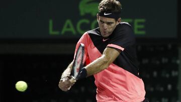 Del Potro gana a Haase y da el primer paso para el 'doblete'