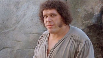 andre el gigante pedo