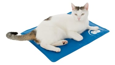 Estos son los mejores productos para mantener a tu mascota fresca este verano