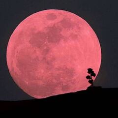 Así fue el eclipse penumbral el 5 de junio: la luna de fresa