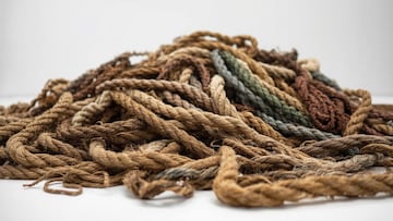 A London gallery is showcasing David Shrigley’s bizarre, chaotic, and surprisingly valuable installation made from ropes salvaged across the UK.