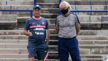 Pumas respaldó el proyecto de Andrés Lillini