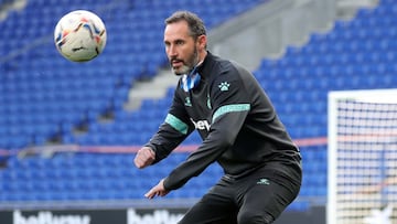 Vicente Moreno, entrenador del Espanyol, en el RCDE Stadium.