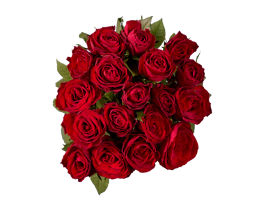 San Valentín: ideas de regalo que dicen más que mil palabras