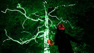 ‘Cabbage Night’, the night of mischief