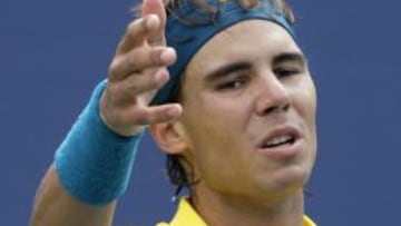 Del Potro aparta a Nadal de la final