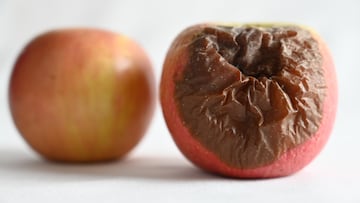 ?Por qu¨¦ una manzana podrida puede echar a perder el resto de la fruta que la rodea?