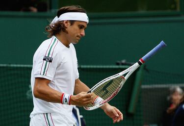 Ganador del Masters 1000 de París y finalista de Roland Garros, fue uno de los jugadores más constantes del circuito. En 2013 cerró la temporada como el número 3 del mundo, y precisamente en ese año alcanzó su mejor registro en Wimbledon, los cuartos de final. El torneo londinense es el único en el que el tenista alicantino no pudo estar entre los mejores 4.