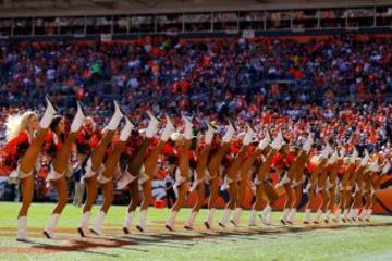 Las chicas de la NFL