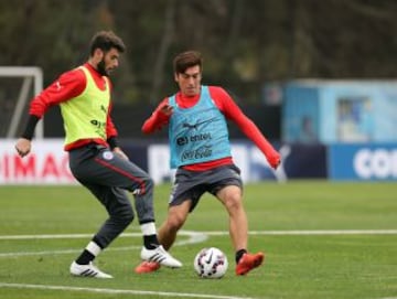 José Rojas, Johnny Herrera, Marco Medel, Juan Cornejo, Jean Beausejour y Paulo Garcés son los jugadores que iniciaron la preparación a la Copa América.