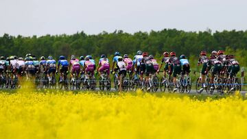 BALATONFURED, HUNGARY - MAY 08: The peloton passing through flowery landscape during the 105th Giro d'Italia 2022, Stage 3 a 201km stage from Kaposvár to Balatonfüred / #Giro / #WorldTour / on May 08, 2022 in Balatonfured, Hungary. (Photo by Tim de Waele/Getty Images)