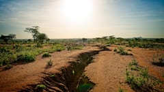 Scientists on alert: Africa is splitting and an ocean is emerging at record speed