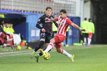 Aprobados y suspensos del Almería: debacle con responsabilidades