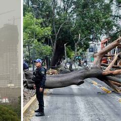 Alerta Amarilla en CDMX: ¿En qué alcaldías habrá vientos intensos, medidas y últimas noticias?