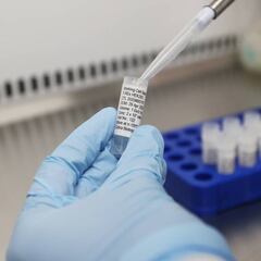 Vacuna coronavirus: Las tres fases para desarrollar un remedio al Covid-19