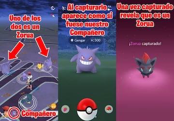 Vamos paseando con un Gengar como Compa&ntilde;ero y avistamos a otro Gengar; es un Zorua camuflado