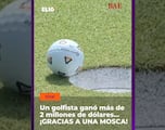 Una mosca le “regala” más de 2 millones de dólares a un golfista