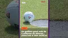 Una mosca le “regala” más de 2 millones de dólares a un golfista