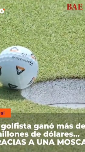 Una mosca le “regala” más de 2 millones de dólares a un golfista
