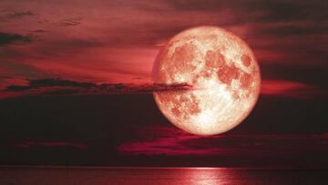 Eclipse de la Luna de Fresa: C車mo verlo online, Apps para fotografiarlo
