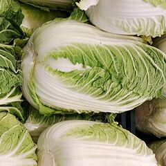 Foto. Wikimedia Commons