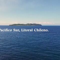 Un chileno remece el mercado en México y así lo presentan: se une a James Rodríguez