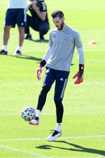 David de Gea.