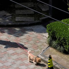 Los 10 efectos secundarios más destacados de las vacunas de Pfizer y Moderna