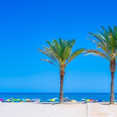 Una familia estadounidense se muda a un piso de 140 metros en Alicante y deja claro por qué no les gusta: “No estamos acostumbrados”