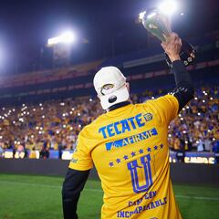 Jugadores de Tigres que ya fueron campeones