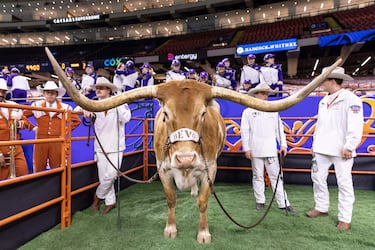 Este impresionante toro de interminables astas es Bevo, la mascota viva de los Texas Longhorns, de la Liga de
Fútbol Universitario de EE UU. Bevo posa ante las cámaras, junto a sus cuidadores, en un corral dentro del Caesars Superdome de Nueva Orleans antes del partido de los playoffs del Sugar Bowl 2024 ante los Washington Huskies.