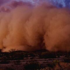 Polvo del Sahara: Cuántos días más se percibirá en México y en qué estados llegarán sus efectos