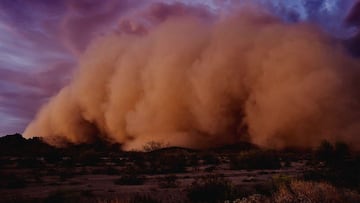 Polvo del Sahara: Cuántos días más se percibirá en México y en qué estados llegarán sus efectos