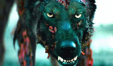 El noble motivo por el que David Lynch no quiso aparecer acreditado en ‘Cabin Fever’, el terrorífico debut de Eli Roth