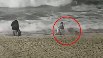 Un coyote frente a un niño en la mítica playa de surf de Huntington Beach (California, Estados Unidos), con los padres a escasos metros y olas de fondo.