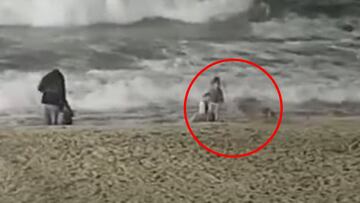 Un coyote frente a un ni&ntilde;o en la m&iacute;tica playa de surf de Huntington Beach (California, Estados Unidos), con los padres a escasos metros y olas de fondo. 