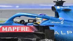 Fernando Alonso pilota durante la carrera del GP de Turqu&iacute;a.