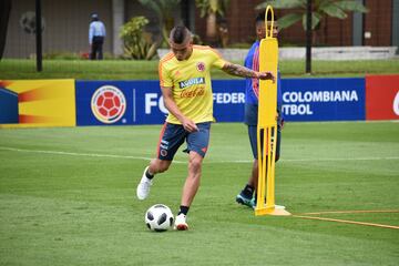 La Selección Colombia trabaja en la Sede de la Federación Colombiana de Fútbol en Bogotá con el grupo casi completo. Fabra, Borja, Mateus, Lerma y compañía se alistan para el partido de despedida, el viaje a Italia y el Mundial.