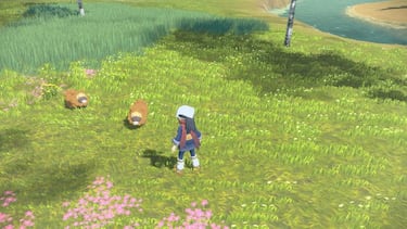 Leyendas Pokémon Arceus, ya lo hemos visto. Descubriendo un nuevo horizonte