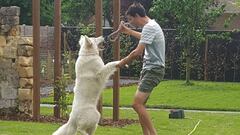 Dumoulin regresa a la rutina entre homenajes y controles