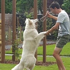 Dumoulin regresa a la rutina entre homenajes y controles