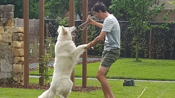 El ganador del Giro de Italia 2017, Tom Dumoulin, juega con su perro en su casa de Maastricht.