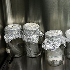 ¿Se puede usar el papel de aluminio en el horno para cocinar y cuándo?