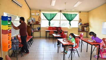 Regreso a clases 2021: cuándo salen las primeras boletas de calificaciones y cómo consultarlas