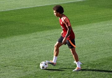 Axel Witsel.