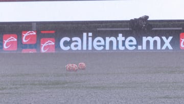 Chivas vs Tigres en vivo: Liga MX, Apertura 2025 hoy | en directo