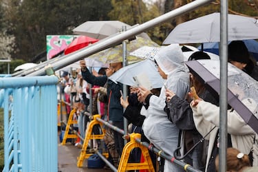 Visitantes al zoológico de la ciudad de Ichikawa esperan durante horas para poder ver a Punch.