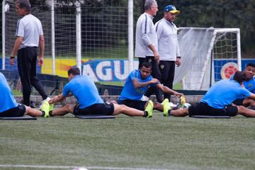 El equipo argentino hizo un trabajo regenerativo en la cancha principal de la Federación Colombia de Fútbol. Villa y Fabra, los dos colombianos presentes. 